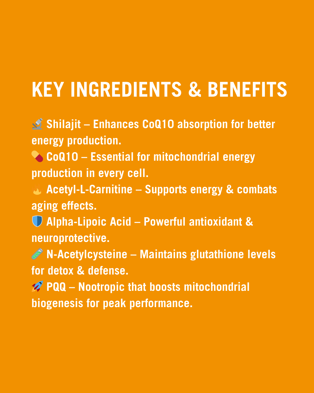 NeuroActive Vita Mito